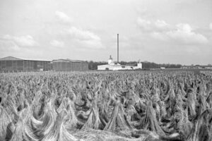 Für die Zwangsarbeiterinnen wurde die ländliche Idylle der Flachsröste zur „Hölle von Lohhof. (Foto: Peter Vahlensieck) 