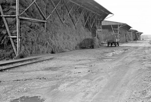 Die riesigen Flachsscheunen des Zwangsarbeitslagers Lohhof (Foto: Peter Vahlensieck) 